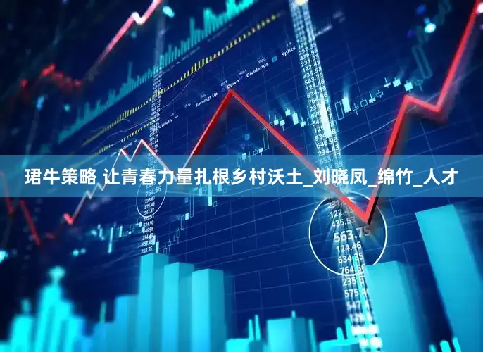 珺牛策略 让青春力量扎根乡村沃土_刘晓凤_绵竹_人才
